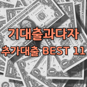 기대출과다자 추가대출