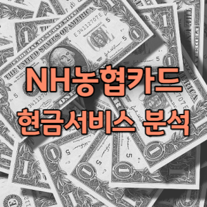 NH농협카드 현금서비스