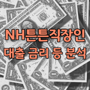 농협 NH튼튼직장인대출