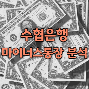 수협 마이너스통장