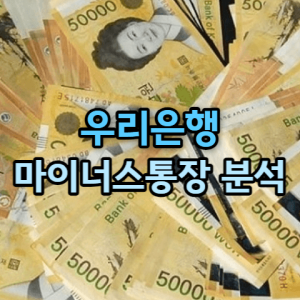 우리은행 마이너스통장