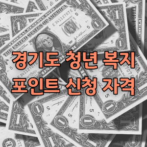 경기도 청년 복지포인트