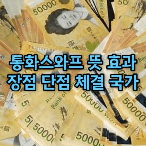 통화스와프