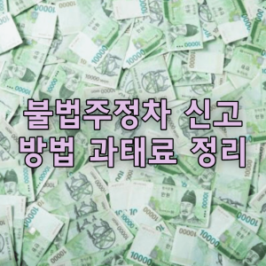 불법주정차 신고