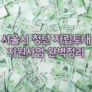 서울시 청년 자립토대 지원사업