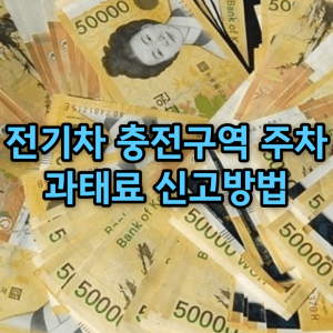 전기차 충전구역 주차 과태료