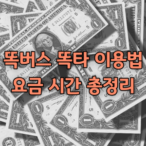 똑버스 똑타