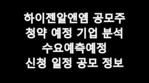 하이젠알앤엠 공모주