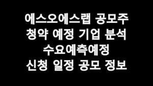 에스오에스랩 공모주