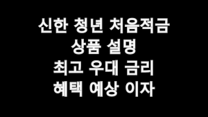 신한 청년 처음적금