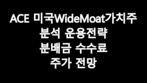 ACE 미국WideMoat가치주