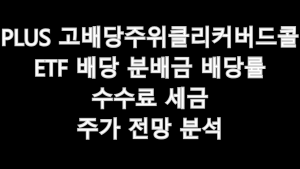 PLUS 고배당주위클리커버드콜