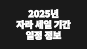 2025년 자라