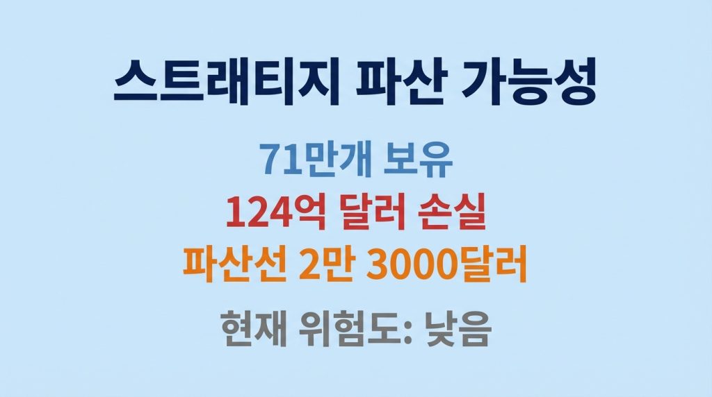 스트래티지 파산