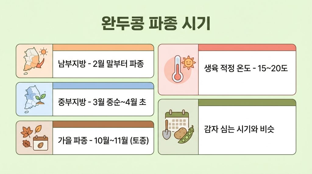 완두콩심는시기