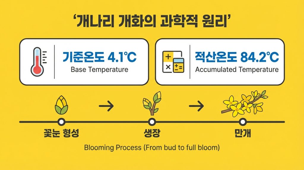 개나리개화시기