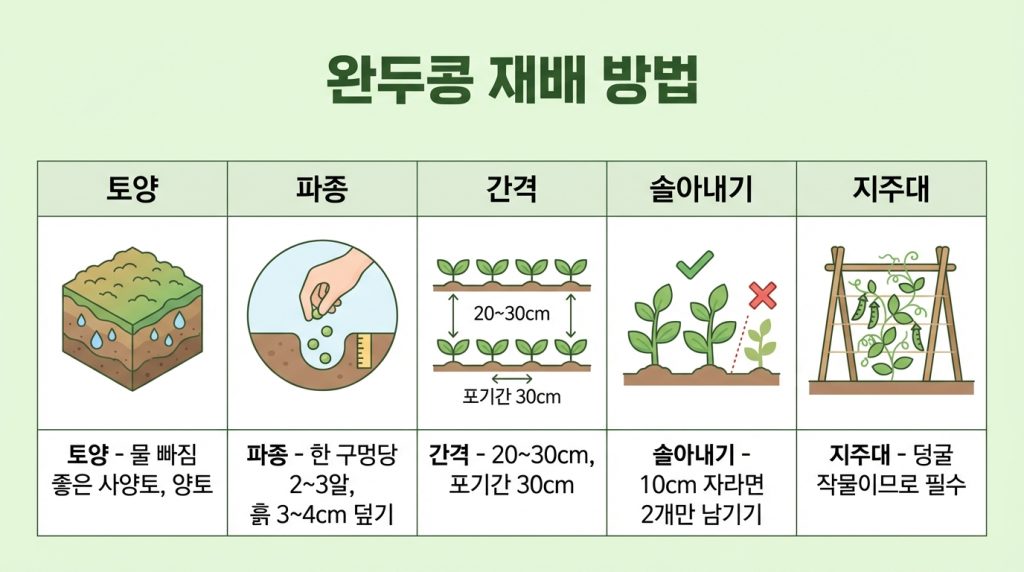 완두콩심는시기