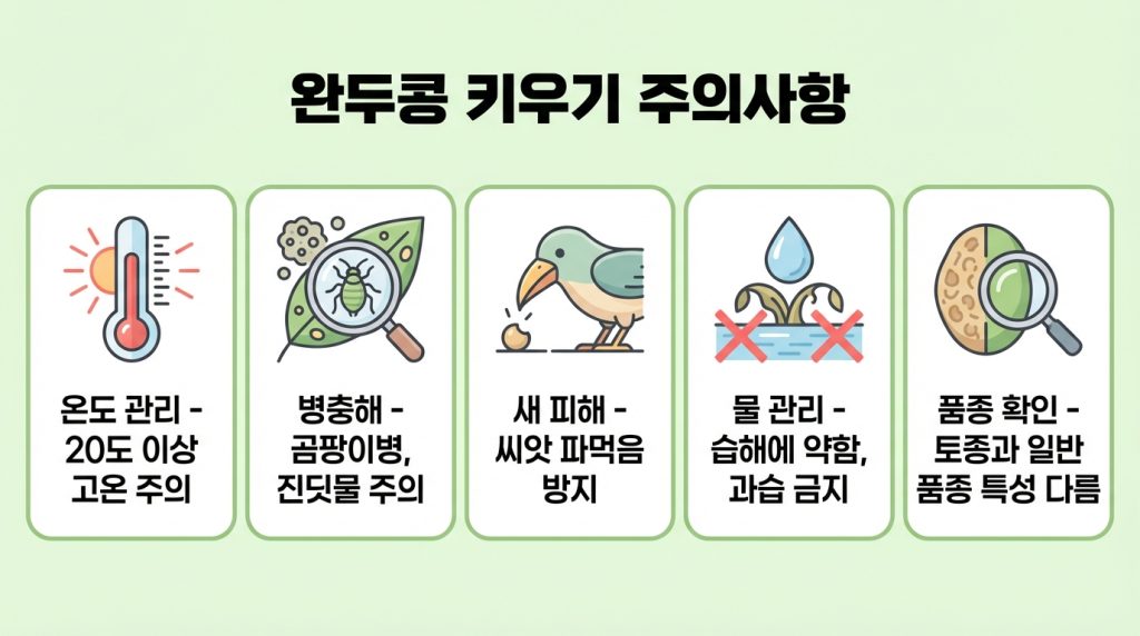 완두콩심는시기