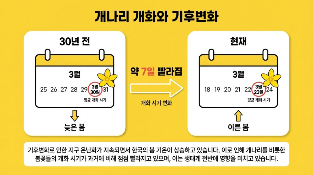 개나리개화시기