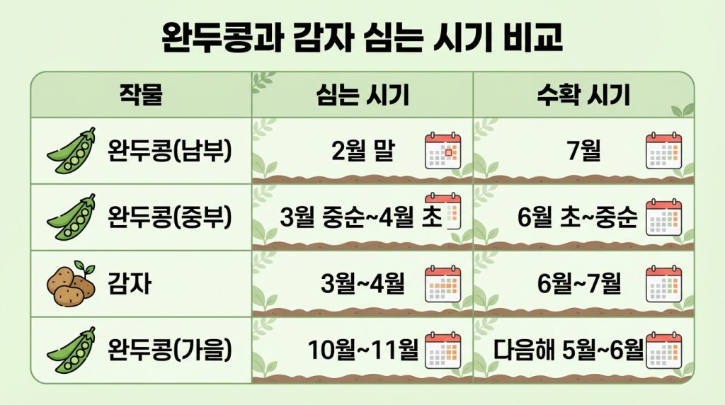 완두콩심는시기