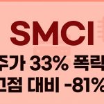 슈퍼마이크로컴퓨터 폭락