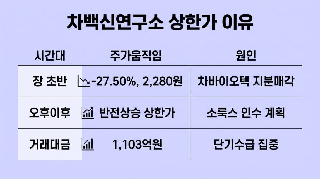 차백신연구소 상한가