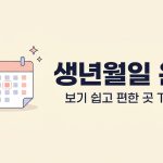 생년월일 운세