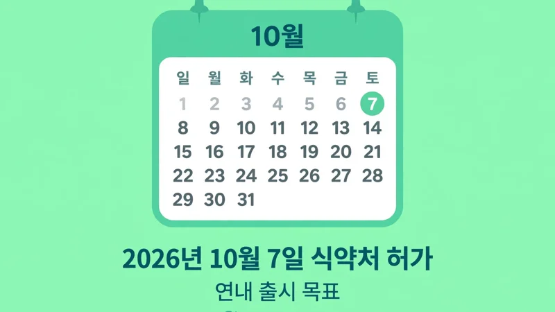 에페 허가와 출시 일정