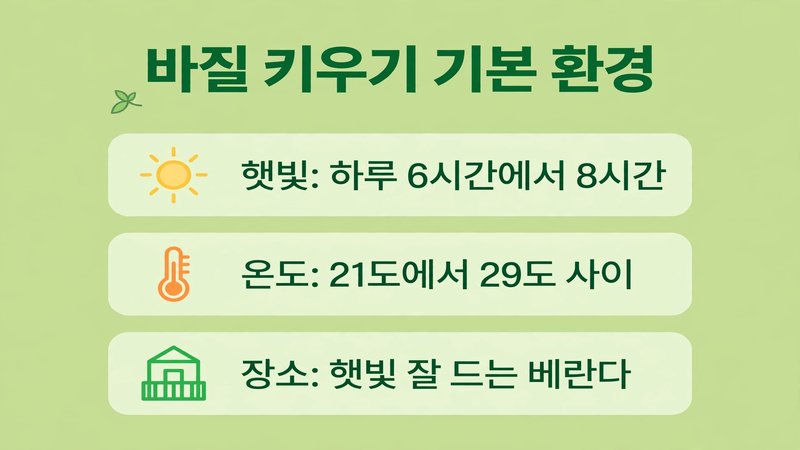 바질 키우기 기본 환경