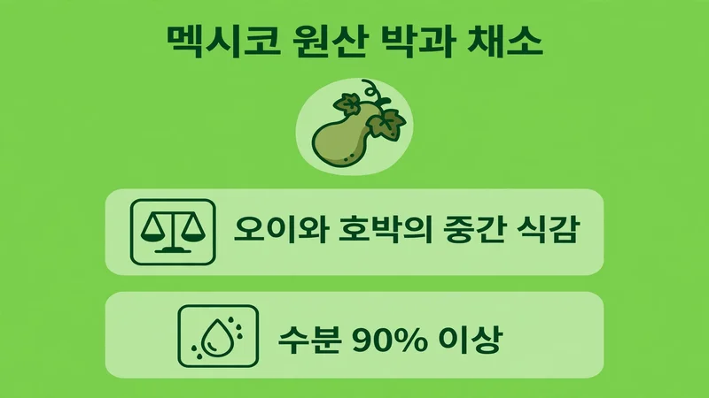 차요태 기본 정보