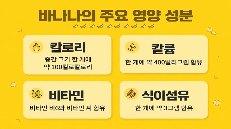 바나나의 주요 영양 성분