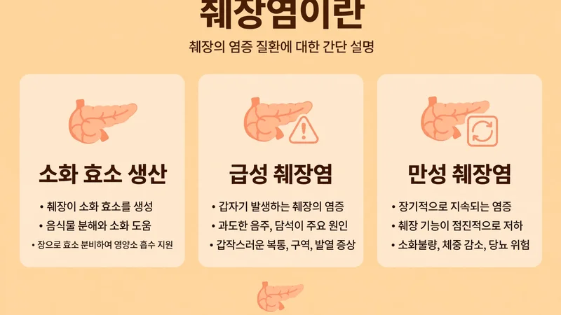 췌장염이란, 소화 효소 생산과 급성과 만성
