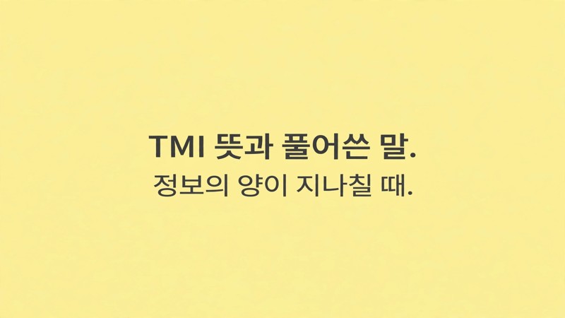 TMI 뜻과 풀어쓴 말
