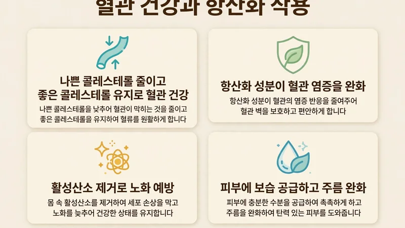 혈관 건강과 항산화 작용