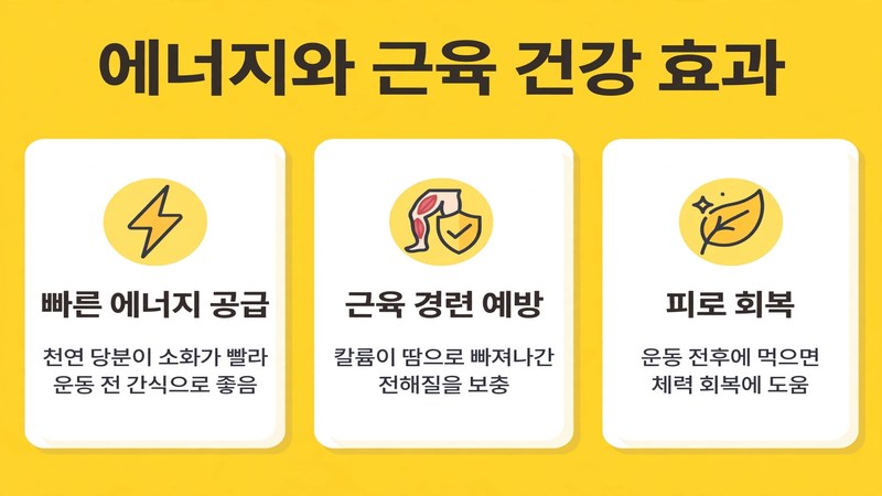 에너지와 근육 건강 효과