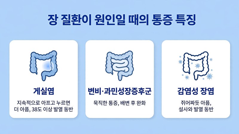 장 질환이 원인일 때의 통증 특징