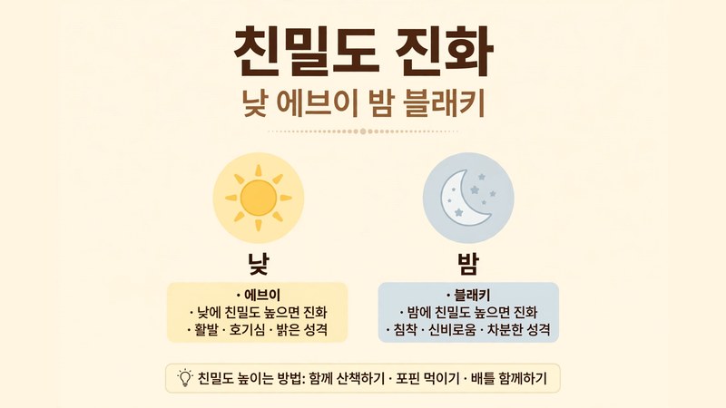 친밀도와 낮과 밤으로 갈리는 두 가지 형태