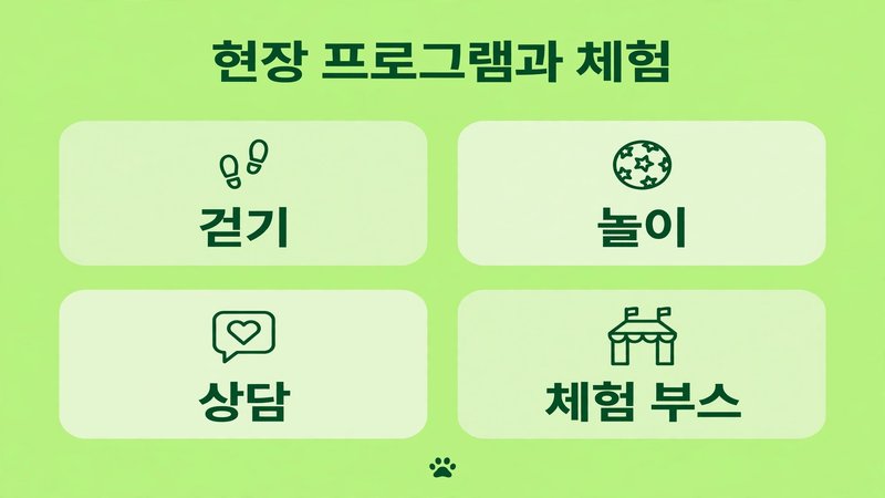 현장에서 만나는 프로그램과 체험