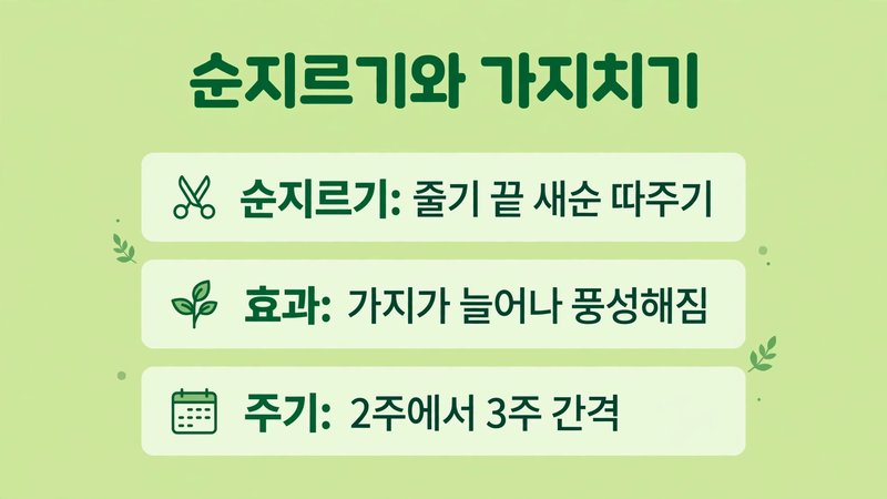 순지르기와 가지치기