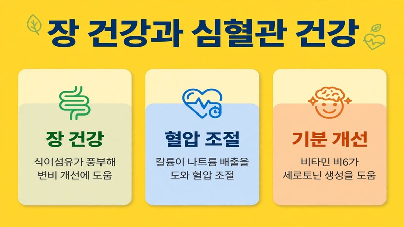 장 건강과 심혈관 건강