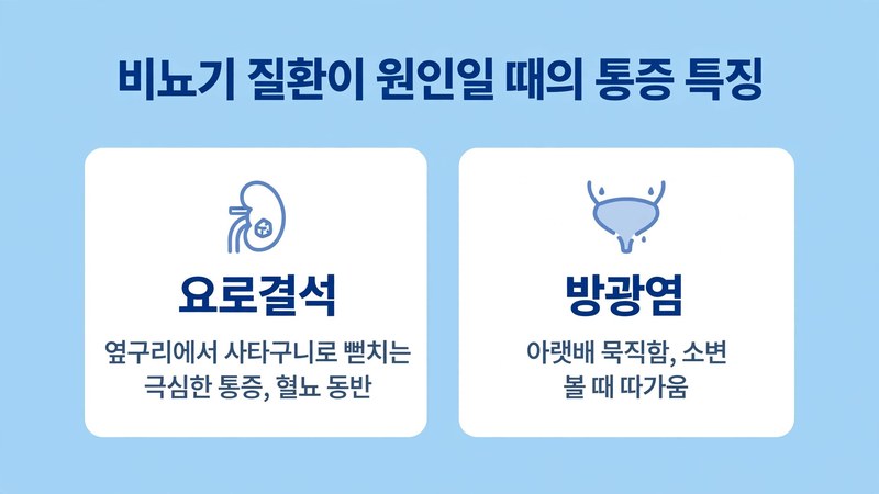 비뇨기 질환이 원인일 때의 통증 특징