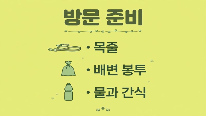 반려동물과 함께 방문할 때 준비할 것