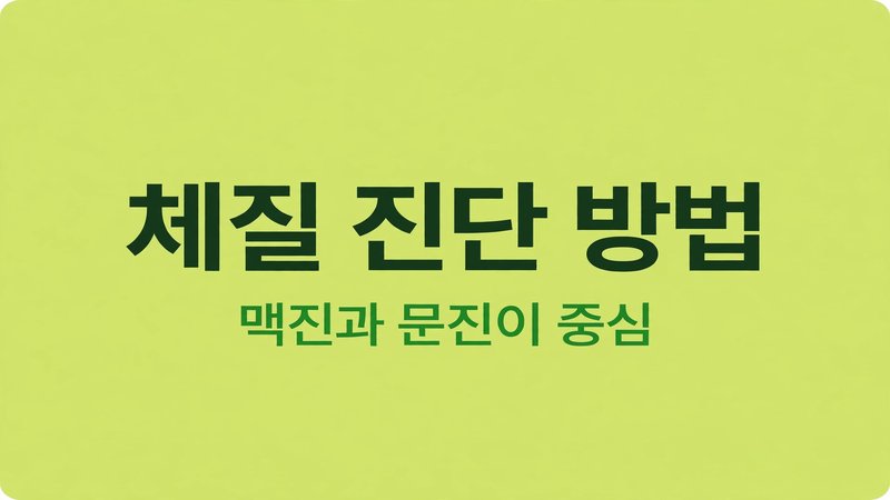 체질 진단 방법
