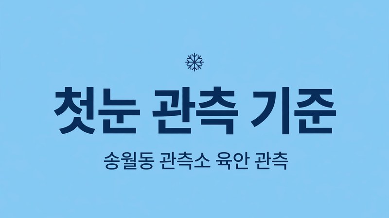 첫눈이 관측되는 기준