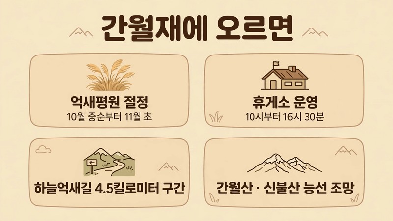 간월재에서 보는 것들 정리