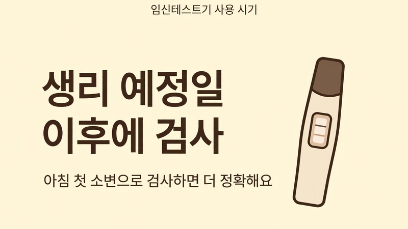 임신테스트기 사용 시기, 생리 예정일 이후에 아침 첫 소변으로 검사