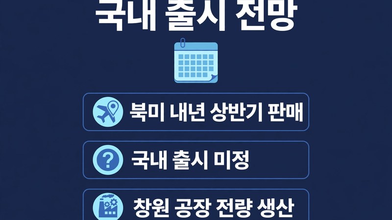 국내 출시 전망