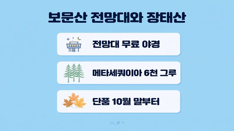 보문산 전망대와 장태산 단풍 숲길 안내