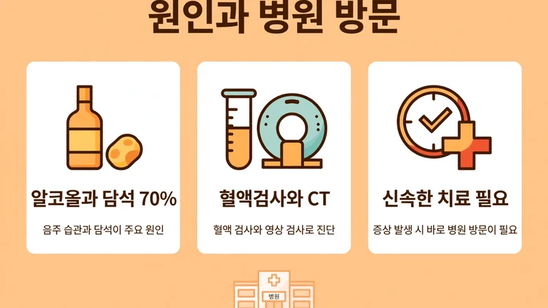 원인과 병원 방문, 알코올과 담석 70%와 혈액검사와 CT