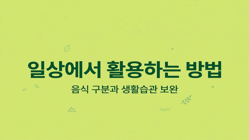 일상에서 활용하는 방법